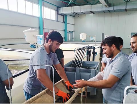  Neftçala Peşə Məktəbinin tədris infrastrukturu yenilənib - FOTOLAR