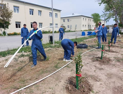  Neftçala Peşə Məktəbinin tədris infrastrukturu yenilənib - FOTOLAR