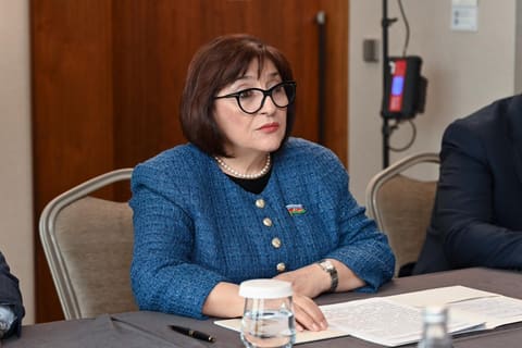 Sahibə Qafarova Rusiya Federal Məclisi Federasiya Şurasının sədri ilə görüşüb