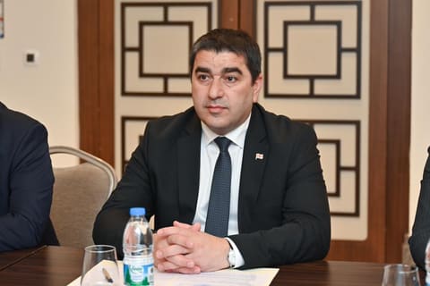 Sahibə Qafarova Gürcüstan parlamentinin sədri ilə görüşüb