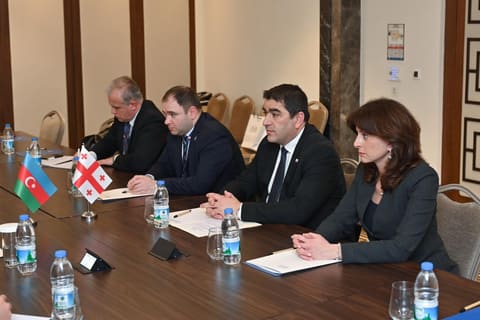 Sahibə Qafarova Gürcüstan parlamentinin sədri ilə görüşüb