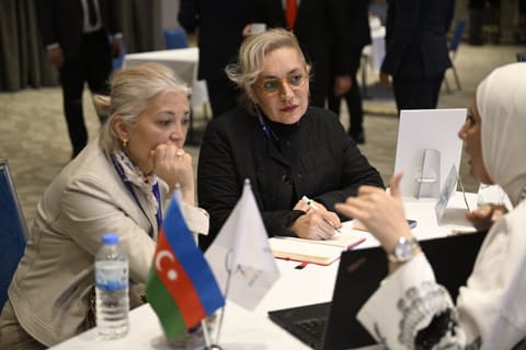 Azərbaycanın turizm imkanları Türkiyədə silsilə tədbirlər çərçivəsində təqdim olunub