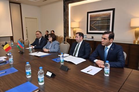 İstanbulda Azərbaycan və Belçika parlament sədrlərinin görüşü keçirilib