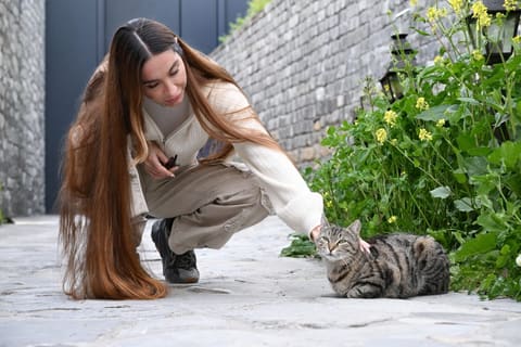 Leyla Əliyeva və Arzu Əliyeva Şəkidə tarixi-memarlıq abidələrinin bərpadan sonra açılışında iştirak ediblər
