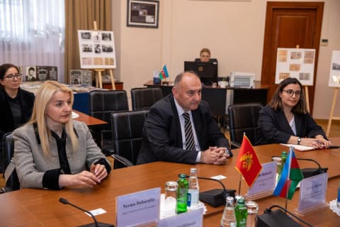 Səbinə Əliyeva Monteneqro Ombudsmanı ilə görüşüb