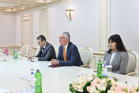 Sahibə Qafarova Britaniya səfiri ilə danışıqlar aparıb