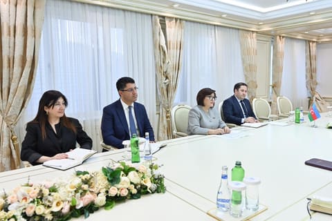 Sahibə Qafarova Britaniya səfiri ilə danışıqlar aparıb