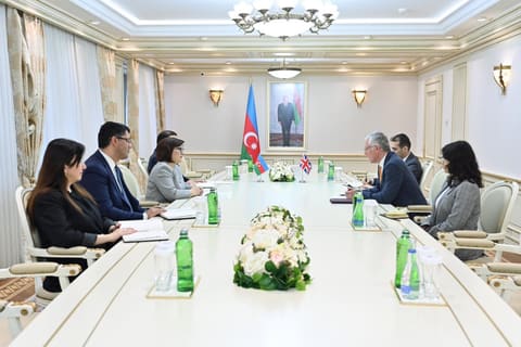 Sahibə Qafarova Britaniya səfiri ilə danışıqlar aparıb