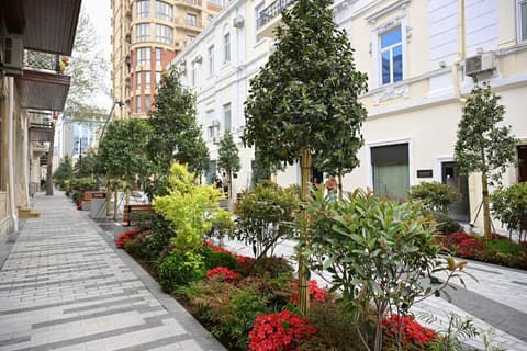Qış Parkını "Tarqovı" ilə birləşdirən küçədən görüntülər - FOTOLENT