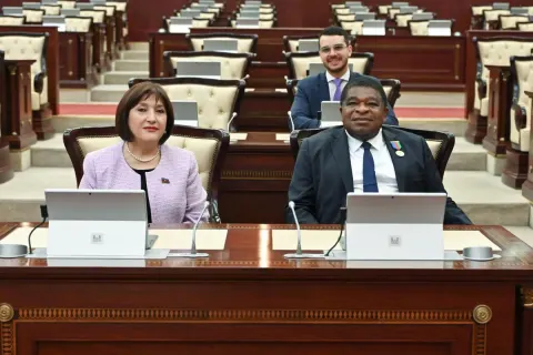Sədr: Milli Məclisin deputatları PAİ-də daha da fəallaşıblar