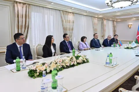 Sədr: Milli Məclisin deputatları PAİ-də daha da fəallaşıblar