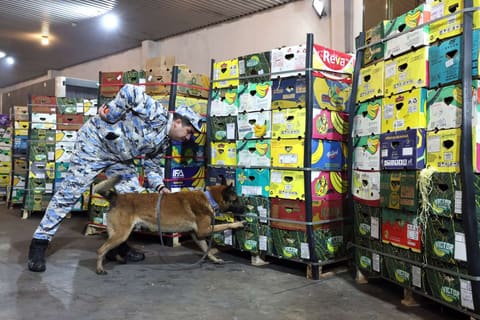 "Qarpız" yükündə 31 kiloqramdan artıq narkotik vasitə aşkar edilib