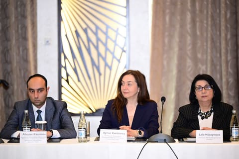 İncəsənət sahəsinin kompleks inkişafı ilə bağlı müzakirə aparılıb