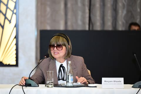 İncəsənət sahəsinin kompleks inkişafı ilə bağlı müzakirə aparılıb