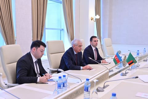 Zambiya Milli Assambleyasının nümayəndə heyəti Milli Məclisdə olub