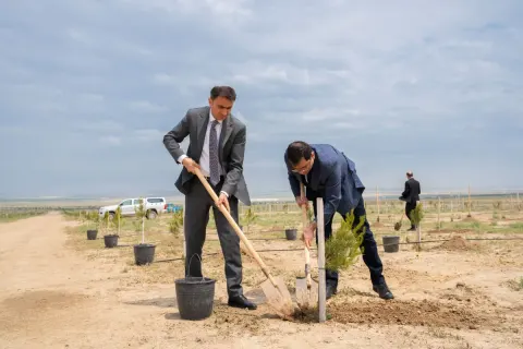 ETSN kollektivi peşə bayramını qeyd edib - Fotolar