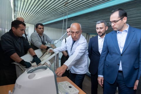  Məcnun Məmmədov Neftçalada “Xıllı balıq" MMC-nin fəaliyyəti ilə tanış olub