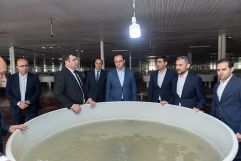  Məcnun Məmmədov Neftçalada “Xıllı balıq" MMC-nin fəaliyyəti ilə tanış olub