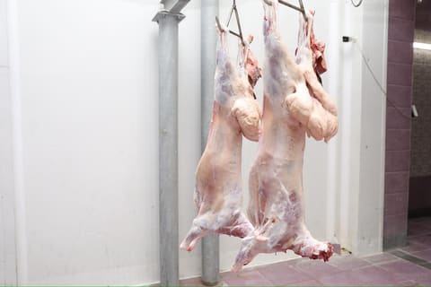 Qurban bayramı günlərində ölkə üzrə 134 ünvanda satış və kəsim xidmətləri göstərilir