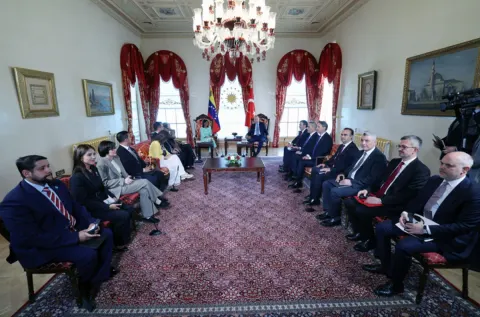 Ərdoğan Delsi Rodriqesi qəbul edib