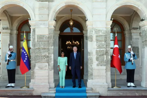 Ərdoğan Delsi Rodriqesi qəbul edib