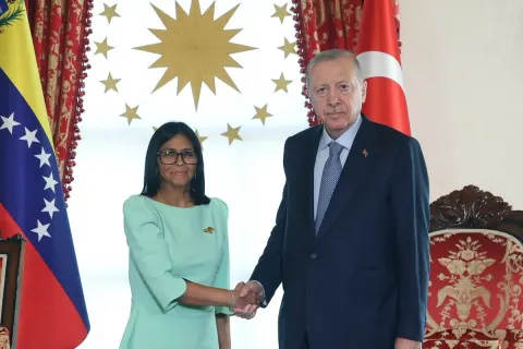 Ərdoğan Delsi Rodriqesi qəbul edib
