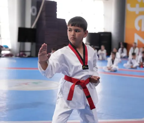 Taekvondo Federasiyası növbəti dan imtahanını reallaşdırıb