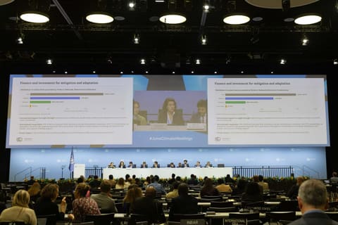 Azərbaycan nümayəndə heyəti İqlim Danışıqları üzrə Bonn sessiyasında iştirak edib
