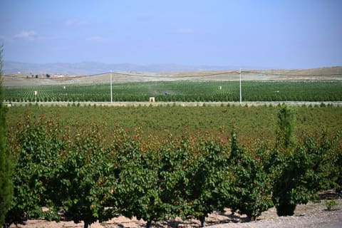 Əlaqələndirmə Qərargahının üzvlərinin Ağdərə və Xocalı rayonlarına səfəri başlayıb