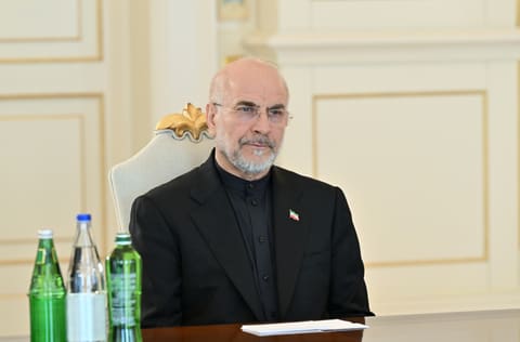  İlham Əliyev İran İslam Şurası Məclisinin sədrinin başçılıq etdiyi nümayəndə heyətini qəbul edib