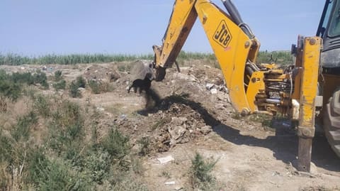 Uyğunsuzluq aşkarlanan pambıq toxumu partiyası məhv edilib