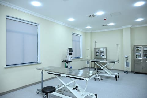 Leyla Əliyeva Yevlaxda Sahibsiz Heyvanlara Qayğı Mərkəzinin regional bölməsinin açılışında iştirak edib