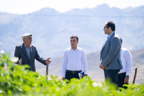 Məcnun Məmmədov Lerikdə təsərrüfatlara baxış keçirib