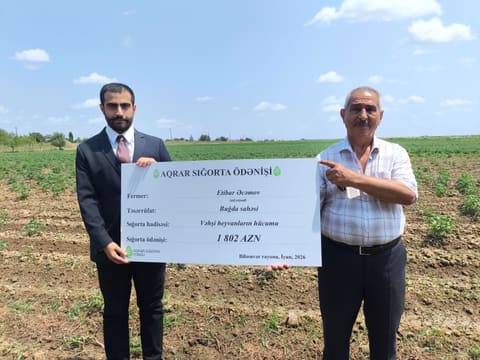 Cəlilabad və Biləsuvarda təsərrüfatlara dəymiş zərərlər üzrə sığorta ödənişləri həyata keçirilib
