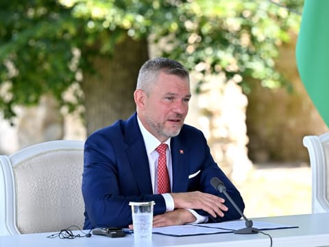 Azərbaycan və Slovakiya prezidentləri mətbuata bəyanatlarla çıxış ediblər - YENİLƏNİB 2