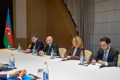 Energetika naziri OPEC-in Baş katibi ilə qlobal neft bazarını müzakirə edib