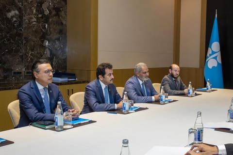 Energetika naziri OPEC-in Baş katibi ilə qlobal neft bazarını müzakirə edib