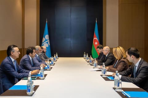 Energetika naziri OPEC-in Baş katibi ilə qlobal neft bazarını müzakirə edib