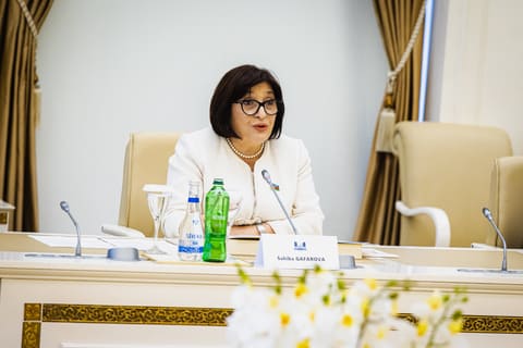 Peter Pelleqrini Sahibə Qafarova ilə görüşüb