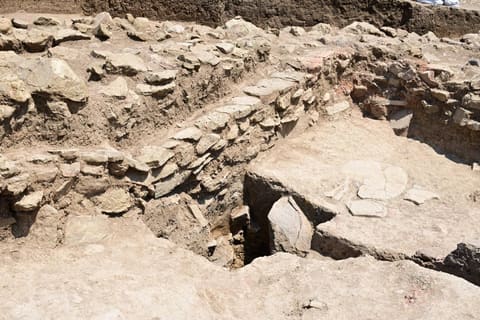 Mədəniyyət naziri Yardımlıda aparılan arxeoloji tədqiqat işləri ilə tanış olub