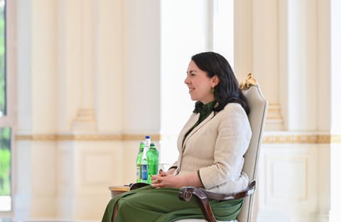  İlham Əliyev İrlandiyanın Azərbaycanda yeni təyin olunmuş səfirinin etimadnaməsini qəbul edib