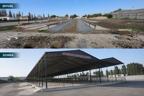 Xaçmazda heyvan satışı bazarı fəaliyyətə yenidən başlayıb