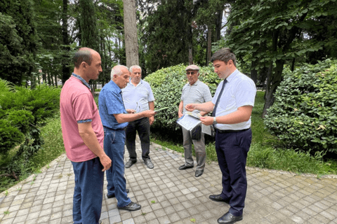 Qəhvəyi mərmər bağacığına qarşı fitosanitar tədbirlər davam etdirilir