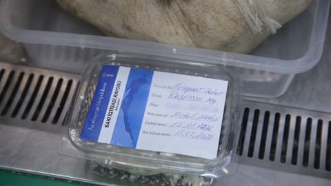 Süd məhsullarının etiketlənməsi ilə bağlı yeni layihəyə başlanılıb
