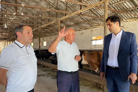 Fuad Sadıqov Xızıda vətəndaşlarla görüşüb, təsərrüfatlara baş çəkib