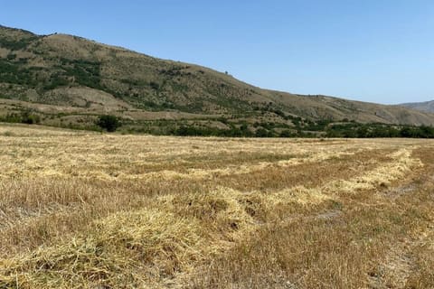 Fuad Sadıqov Xızıda vətəndaşlarla görüşüb, təsərrüfatlara baş çəkib