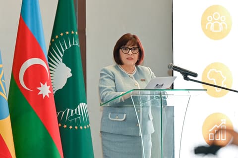 Sahibə Qafarova Efiopiyaya rəsmi səfəri çərçivəsində bir sıra ölkələrin səfirləri ilə görüşüb