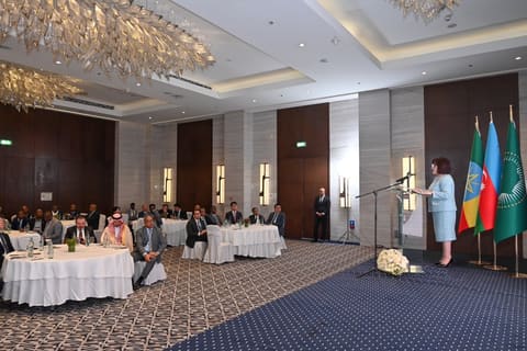 Sahibə Qafarova Efiopiyaya rəsmi səfəri çərçivəsində bir sıra ölkələrin səfirləri ilə görüşüb