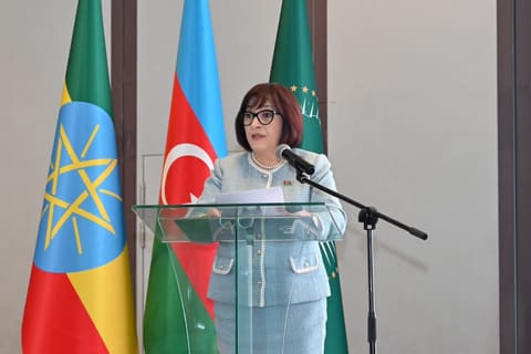 Sahibə Qafarova Efiopiyaya rəsmi səfəri çərçivəsində bir sıra ölkələrin səfirləri ilə görüşüb