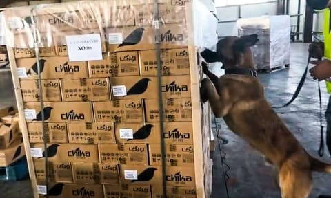 Xüsusi üsulla gizlədilərək 112 kiloqramdan artıq narkotik vasitə aşkarlanıb